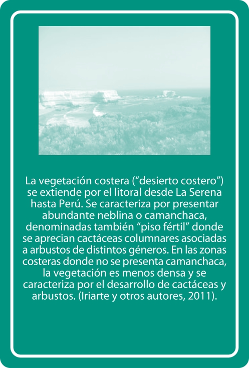Portada Reverso